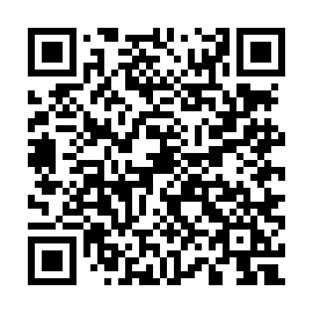 QR code for U65-LLI