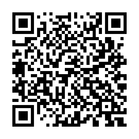 QR code for U66-API