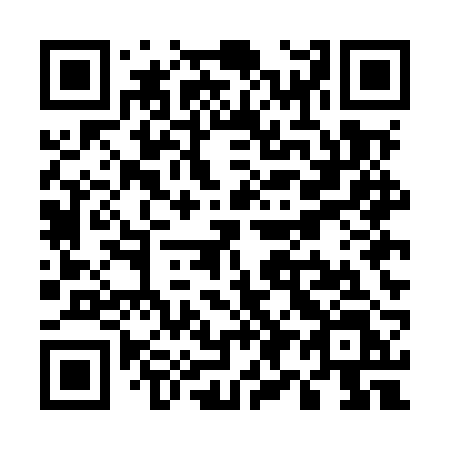 QR code for plate U95-MRL