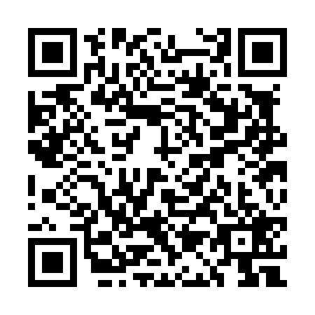 QR code for UA3L296