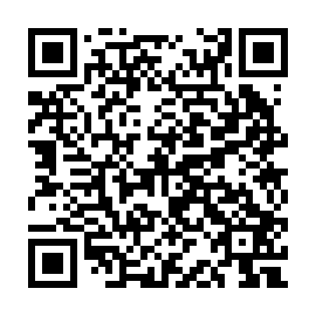 QR code for plate UBC-203