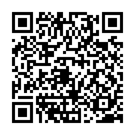 QR code for plate UD3-N107