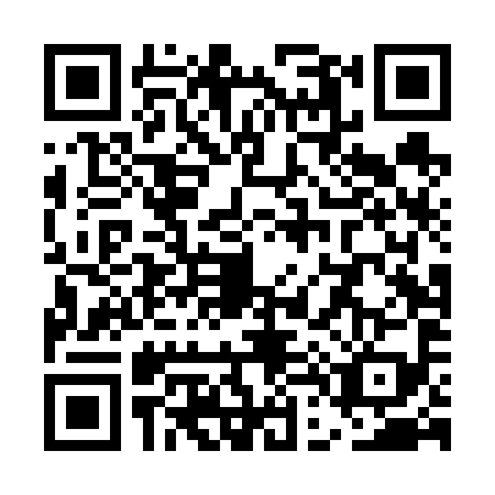 QR code for UD4-V994
