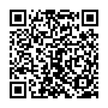 QR code for UDE265