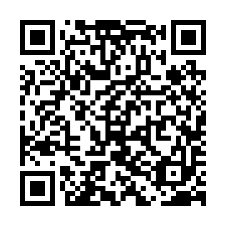 QR code for UDF-293