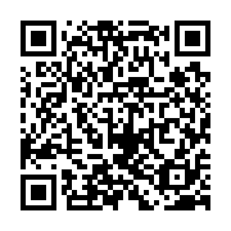 QR code for plate UDM-710