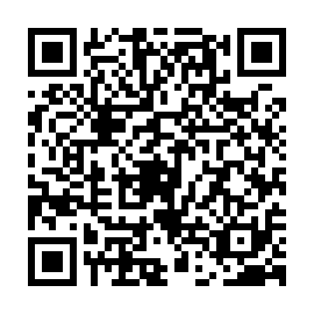 QR code for UDM9119