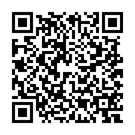 QR code for plate UE4-M541