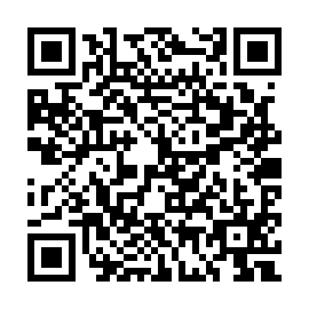 QR code for UG2-Q953
