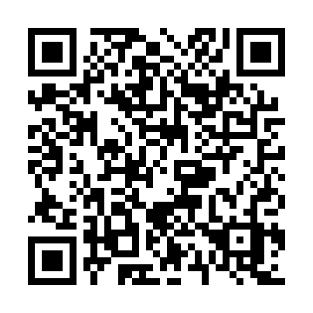 QR code for V11-APZ