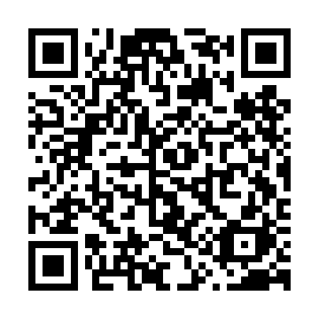 QR code for plate V13-DBH