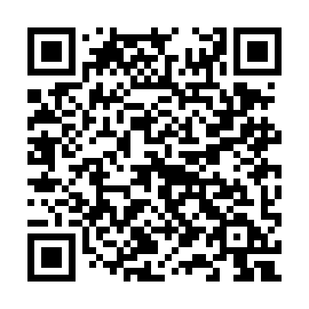 QR code for plate V13-DID