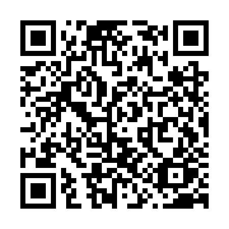 QR code for V17CZP