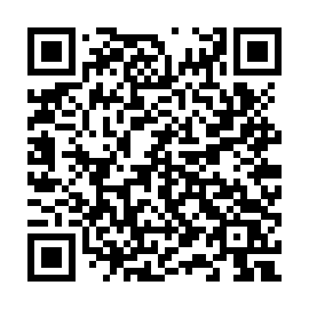 QR code for plate V17-ZTS