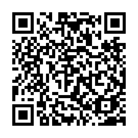 QR code for V20-NAA