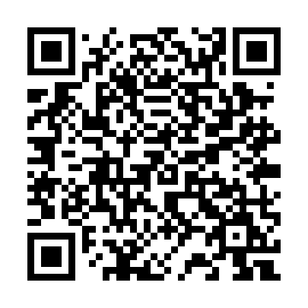 QR code for V21-PMM