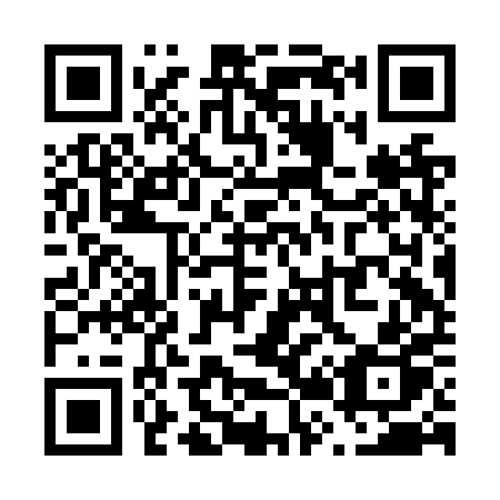QR code for V22NPP