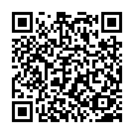 QR code for plate V28-CPX