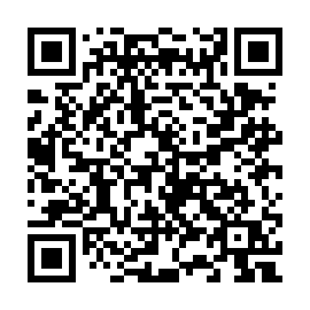 QR code for V31-DAQ