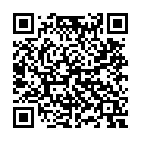 QR code for V31DVR