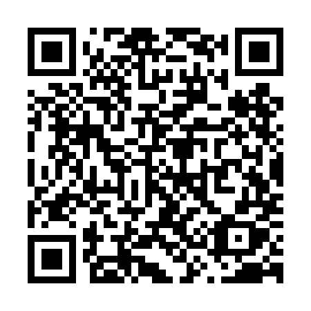 QR code for V33-TMX