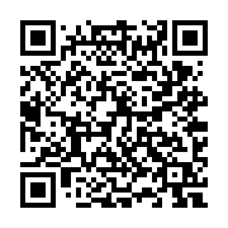 QR code for plate V37-VIP