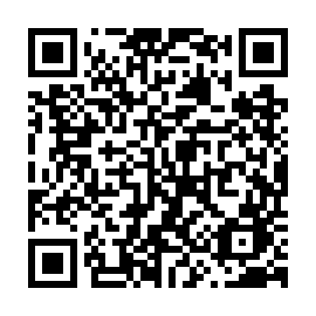 QR code for V38WEB