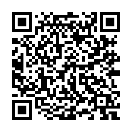 QR code for plate V39-XJP