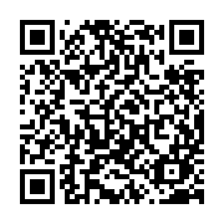 QR code for plate V41-ZML