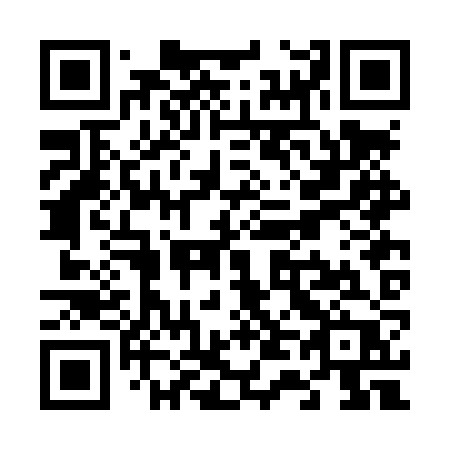 QR code for V42-LZP