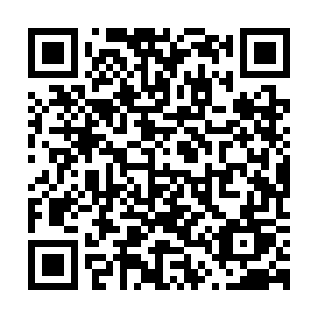 QR code for V48-SGT