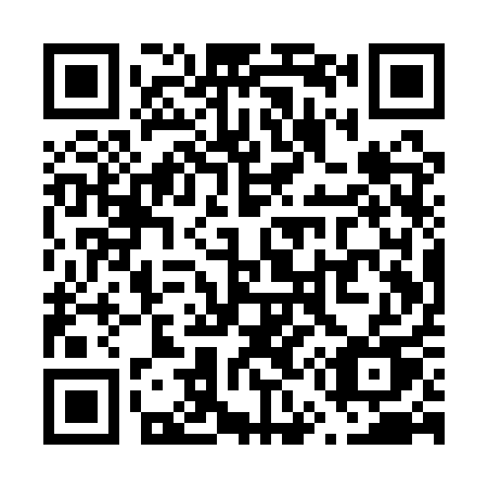 QR code for plate V51-QQU