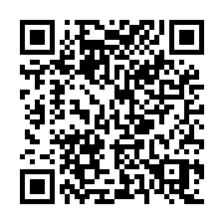 QR code for V54MCP