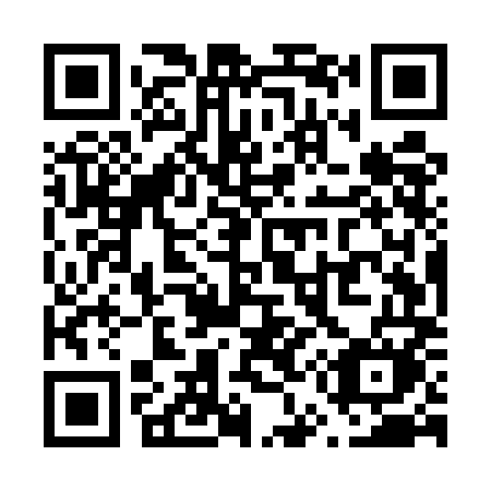QR code for V55-UMM