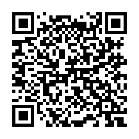 QR code for plate V63-HFE