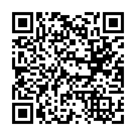QR code for plate V80-IVR
