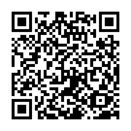 QR code for plate V81-SSZ