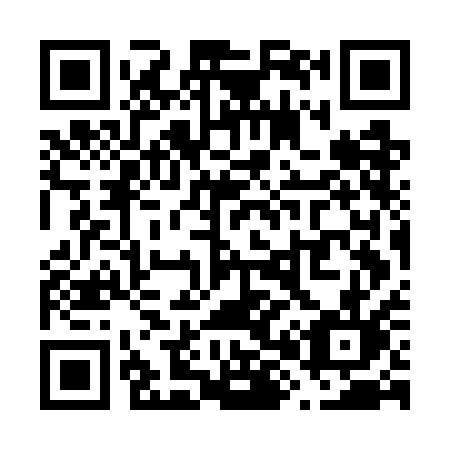 QR code for plate V87-GAL