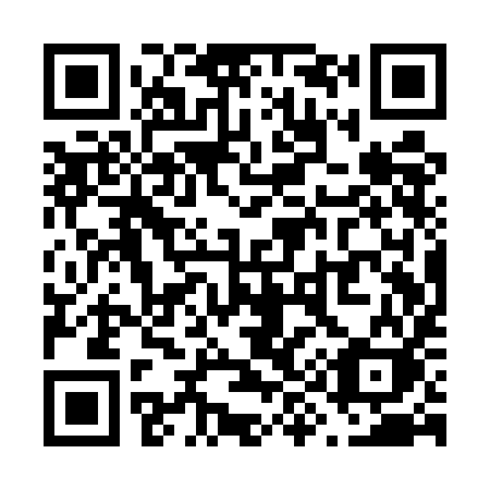 QR code for plate V91-UIK