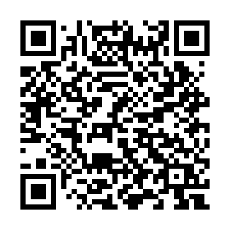 QR code for plate V93-BUR