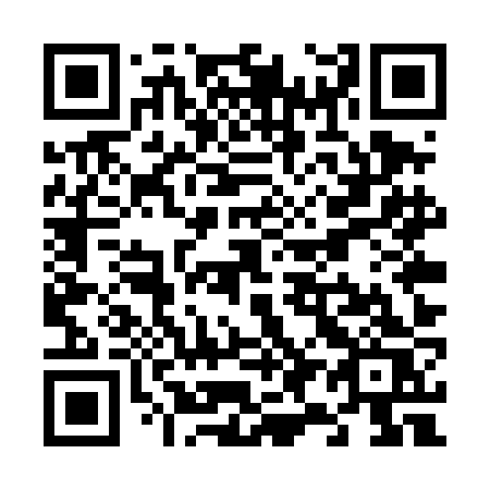 QR code for plate V95-TJS