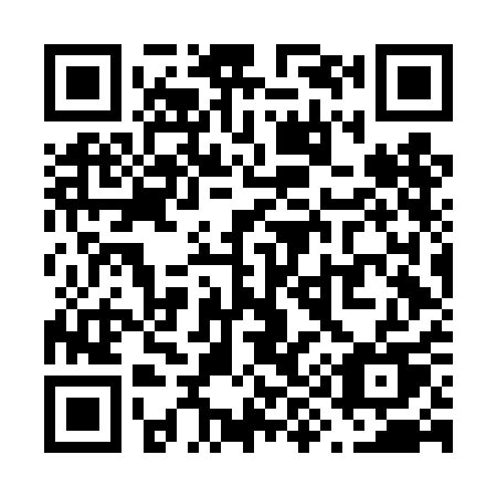 QR code for plate V96-DAU
