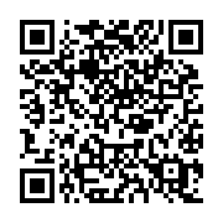 QR code for plate V96-ZIE