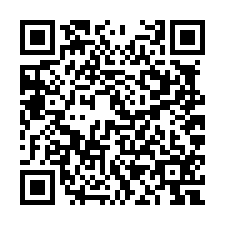QR code for plate VA6-L166