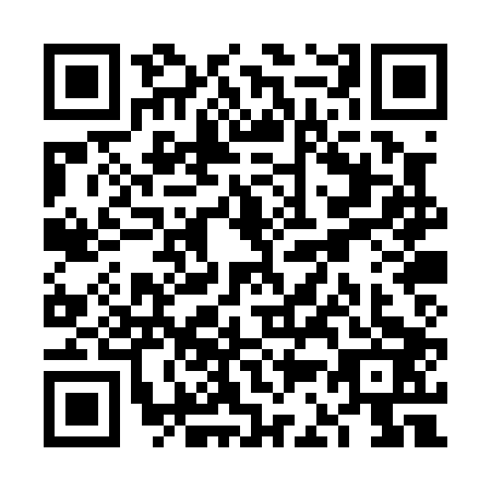 QR code for plate VC0-P031