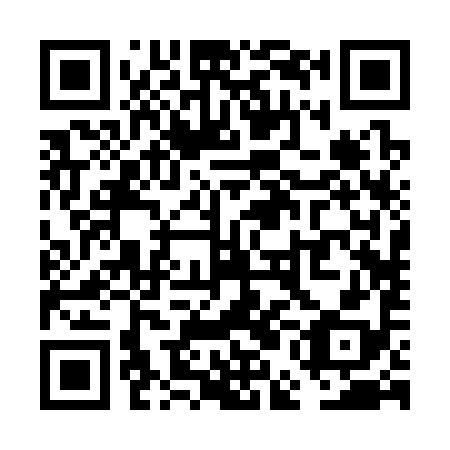 QR code for plate VEB-398