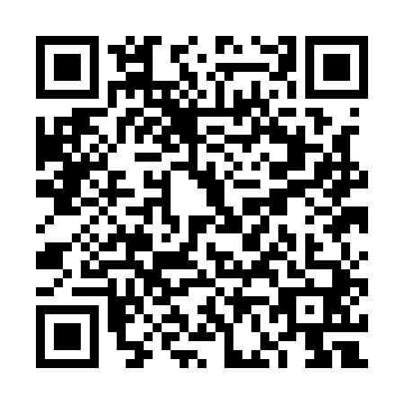 QR code for VF1-A401