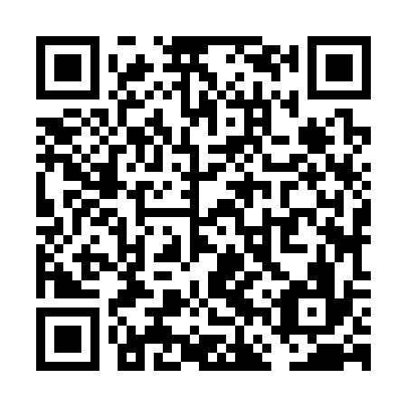 QR code for VFZ-336