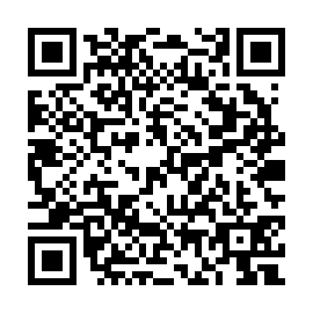 QR code for VG5R313