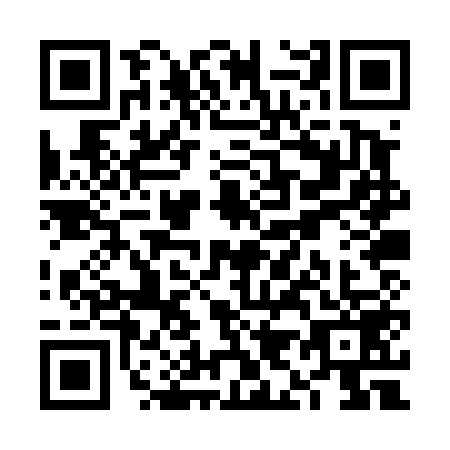 QR code for plate VI0-T595